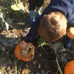 Term One October 2018 Early Years Pumpkin Picking