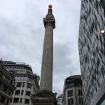 IMG_8980